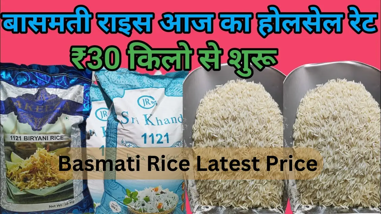 Basmati Rice Latest Price