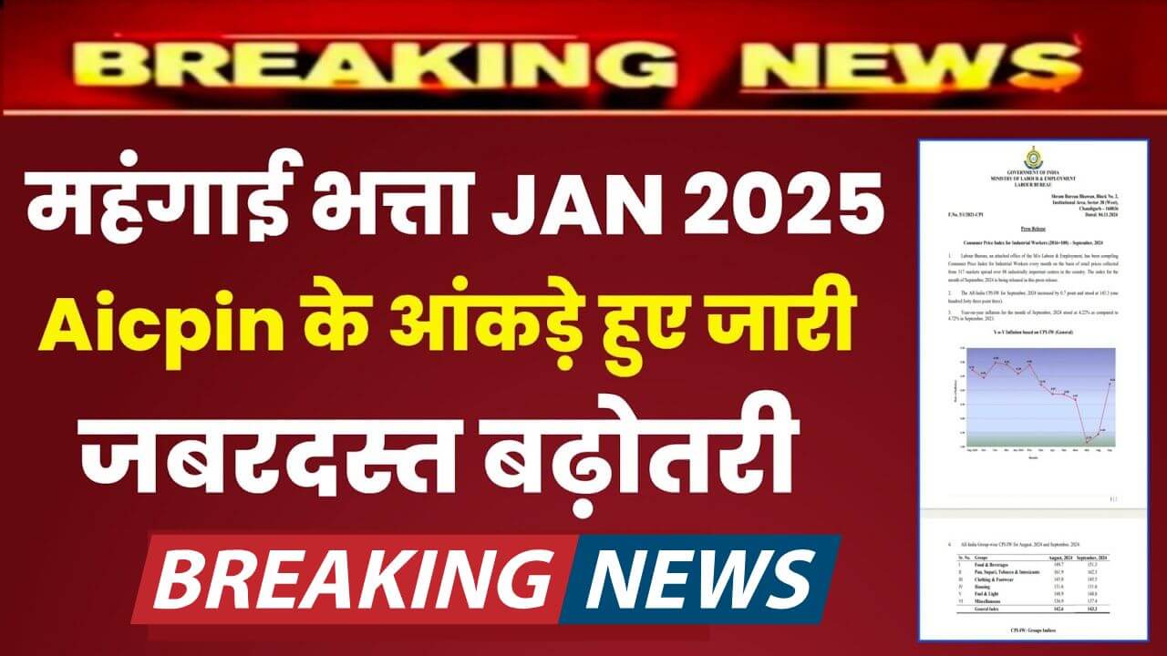 aicpin-da-jan-2025-update